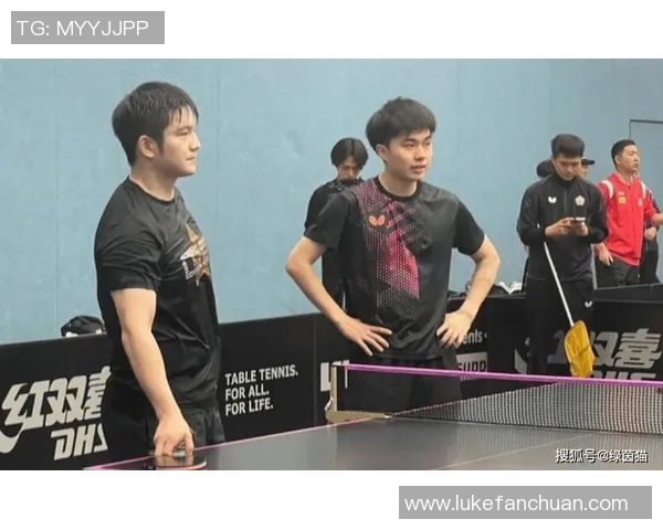 樊振东与林昀儒在2019世界杯的精彩对决与乒乓球技术分析