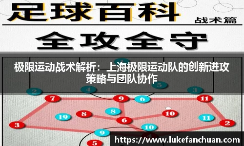 极限运动战术解析：上海极限运动队的创新进攻策略与团队协作
