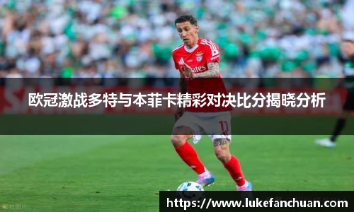 永利8858cc首页
